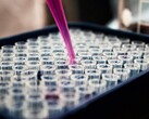 Fudan University researchers develop AI-powered blood test to predict disease risk years in advance. (Image source: Louis Reed, Unsplash)