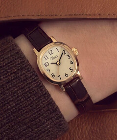 Timex Cavatina TW2Y87700