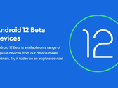 OnePlus and Xiaomi owners should be aware that flashing Android 12 Beta 1 could brick your device. (Image source: Google)