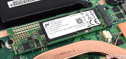 M.2 SSD with 256 GB of storage space