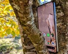 In review: Google Pixel 8