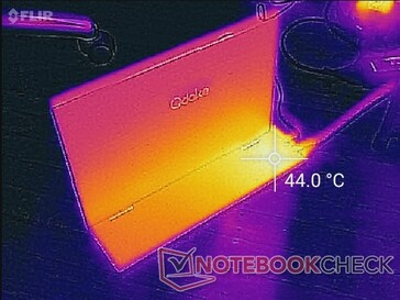 Surface temperature (back)