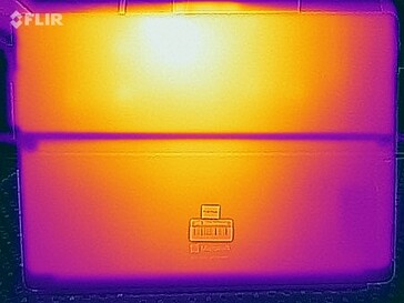 Surface temperatures during the stress test (back)