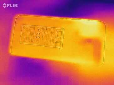 Heat map back