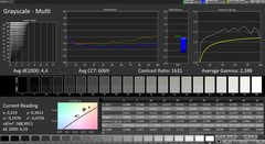 CalMAN grayscale (profile: Intense; color space: sRGB)