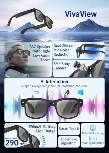 VivaView feature overview (Image source: Rollme)
