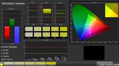 CalMAN: Saturation sweeps (calibrated)