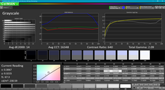 Grayscale before calibration