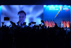 Tesla sales plummet across Europe: Elon Musk's political activities seem to harm the company