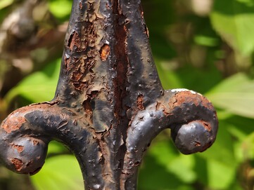 Macro photos