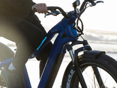 The OKAI Ranger can support loads up to 330 lbs (~150 kg). (Image source: OKAI)