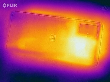 Heat map back