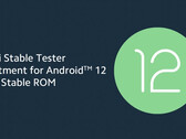 Xiaomi has opened Android 12 testing to three more flagship smartphones. (Image source: Xiaomi)