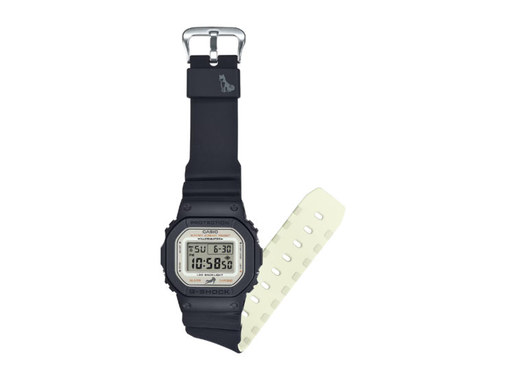 (Image source: Casio)