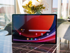 The Galaxy Tab S10 Plus comes in Moonstone Grey and Platinum Silver colour options. (Image source: Notebookcheck)