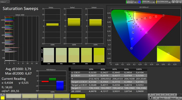 CalMAN saturation sweeps (target color space sRGB)