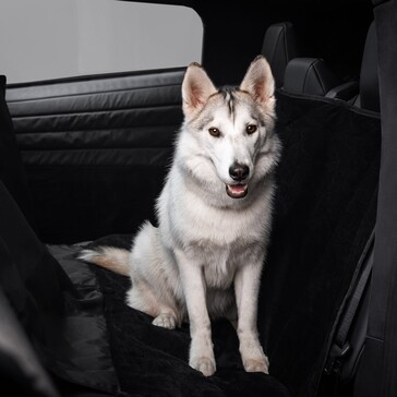 Cybertruck pet liner