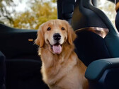 Zeekr X has electric folding seats to fit your pet (image: Geely)