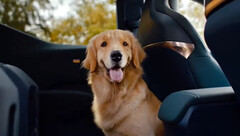 Zeekr X has electric folding seats to fit your pet (image: Geely)