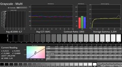 CalMAN: Grayscale (calibrated)