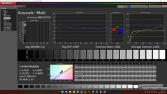 CalMAN: grayscale (calibrated)