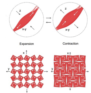 The voice patch has slits in the magnetic membrane. Flexing during speech creates an electrical signal from the movement of the embedded magnetic particles. (Source: Ziyuan Che et al. article)