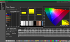 ColorChecker before calibration (P3)