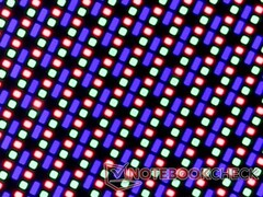 OLED subpixel array on the Dell Alienware m15