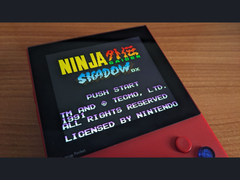 A teased image of Ninja Gaiden Shadow DX on X (image source: Marc Max)