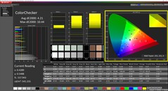CalMAN ColorChecker (Profile: Display P3)