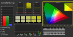 CalMAN - Saturation Sweeps (calibrated)