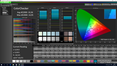 CalMAN ColorChecker