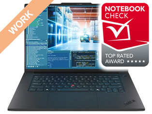 Lenovo ThinkPad P1 Gen8 (91.6 %)