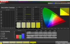 CalMAN Saturation calibrated