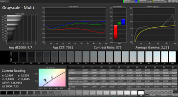 CalMAN: Grayscale – sRGB target color space