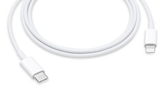 This cable may become a thing of the past soon. (Source: Apple)