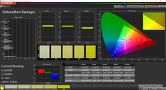 CalMAN saturation (target gamut sRGB)