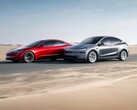 The Tesla Model Y and Model 3.
