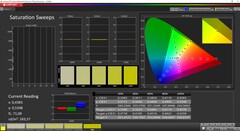 CalMAN Saturation calibrated (target color space P3)