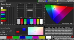 CalMAN: sRGB colour space – Vivid colour mode