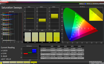CalMan color saturation (sRGB target space)