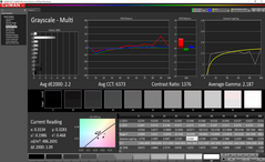 Grayscale after calibration on sRGB mode. Note that there is an issue displaying 90 percent grayscale accurately