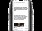 Google Bard can distill information to offer meaningful insights in conversational search. (Image Source: Google)