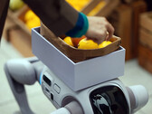 The T1 humanoid robot that can turn into a robot dog