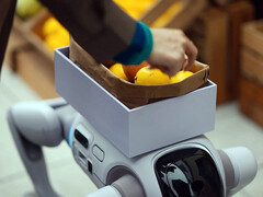 The T1 humanoid robot that can turn into a robot dog