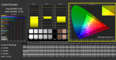 Colors