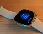 The Fitbit Sense and Versa 3 can overheat (Image source: Inge Schwabe)