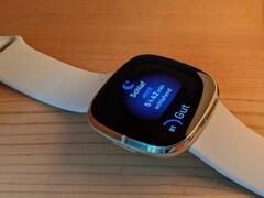 The Fitbit Sense and Versa 3 can overheat (Image source: Inge Schwabe)