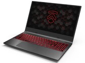 Eluktronics RP-15 Laptop Review: The Ryzen 7 4800H Impresses Yet Again
