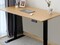 The Pro Series electric standing desk from Flexispot. Image via Flexispot